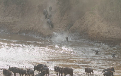 Crossing the Mara