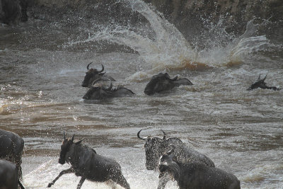 Crossing the Mara