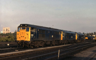 Class 31s at York Yard - Nov 1980.