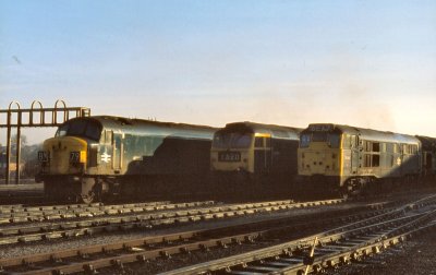 Classes 45,47and Class 31 at York sidings Nov 1980.