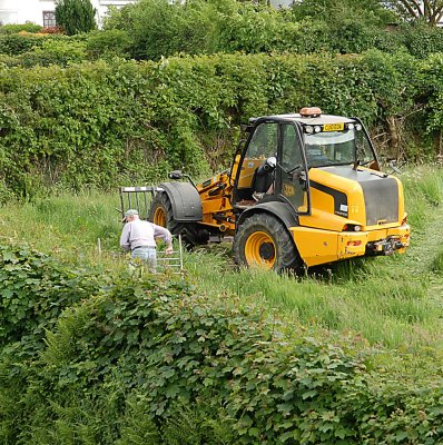 Clearing the field over the hedge from our house.