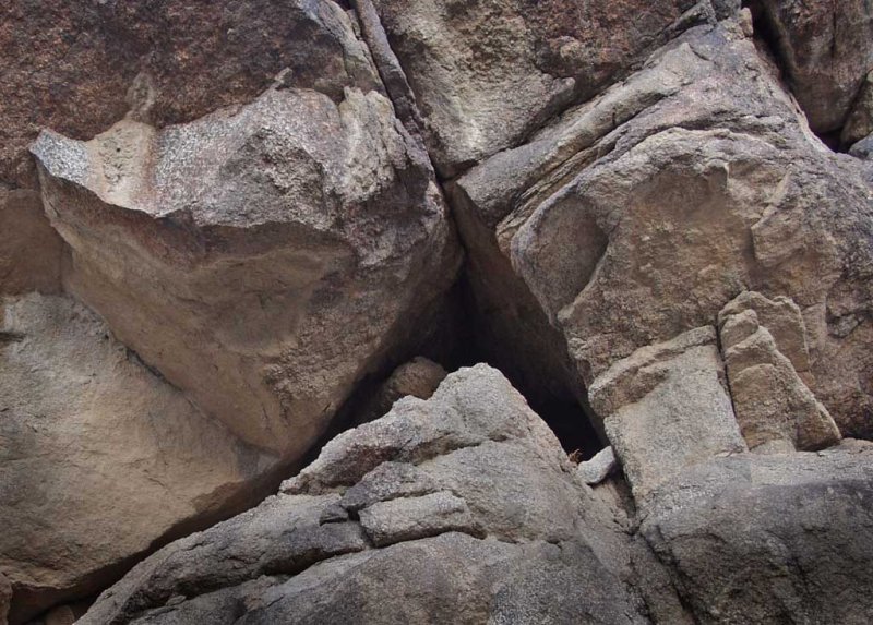 Geological Forces lo res.jpg