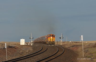 Cutbank,MT