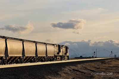 Cutbank, MT