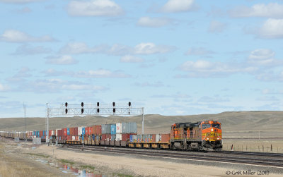 Shelby, MT