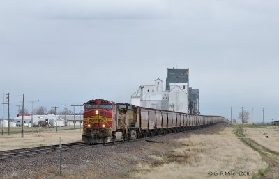 Brady, MT