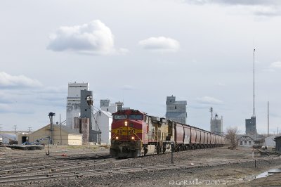 Conrad, MT