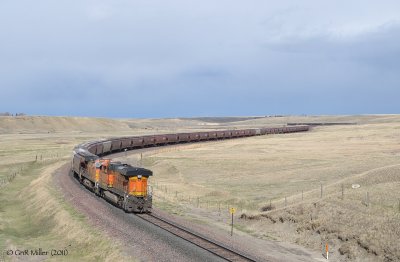 Conrad, MT