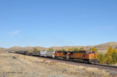 Fowler, MT