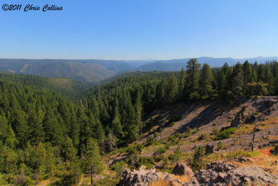 California Lookout