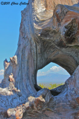 Framed Mountain - Idaho