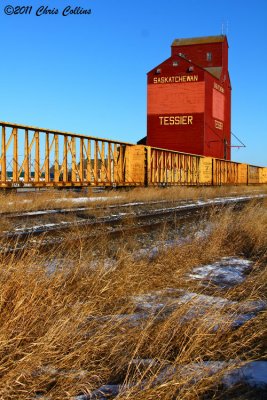 Tessier