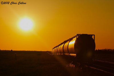 Disley Siding at Sunset
