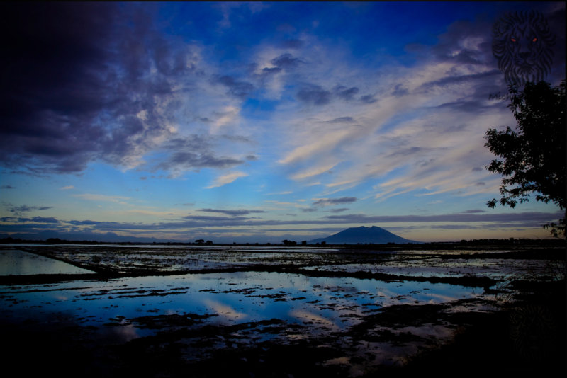 Candaba Wetlands (sunrise)