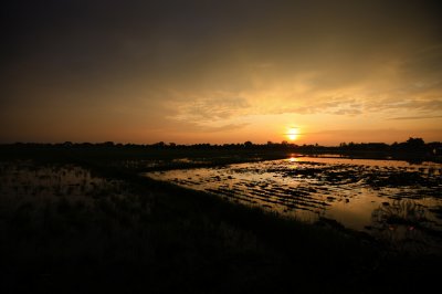 Candaba Wetlands Sunrise