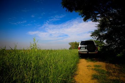 Candaba Wetlands