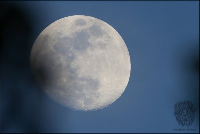 Moon - July 01, 2012
