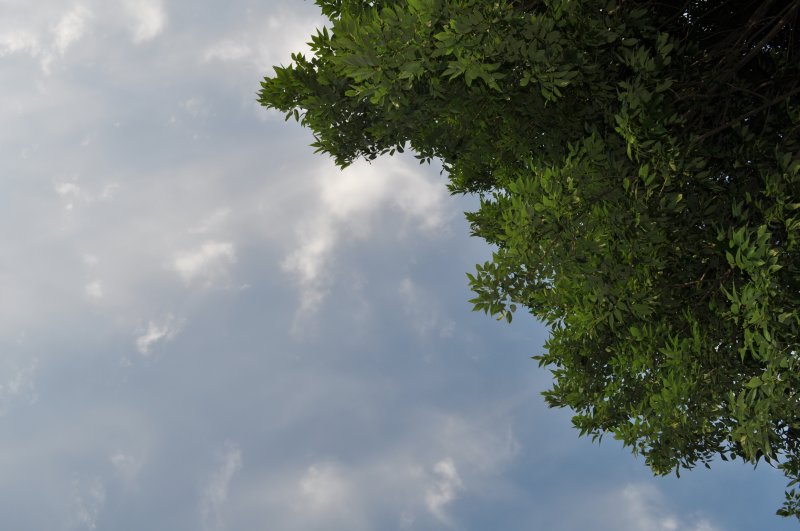 A view from a playground swing