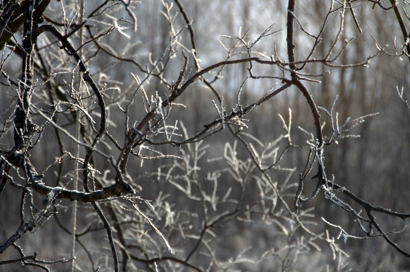 a frosty almost winter morning