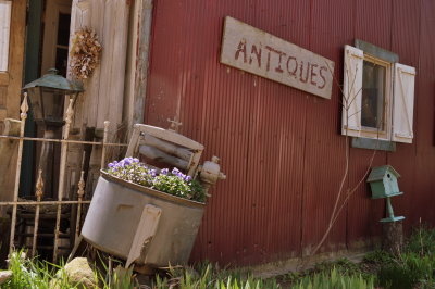 The quaint store