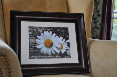 8 x 10 Daisy on a float mount, matted and framed