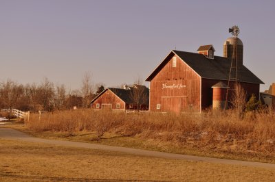 DSC_0443.JPG