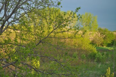 Spring Green and Spring Blue