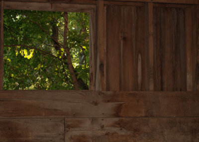 A view from the inside of a barn