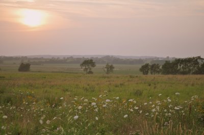 Summer Country Glory