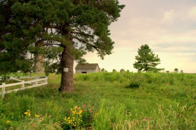 Summer Roadside Barn