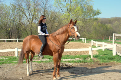 A proud horse with his loving owner