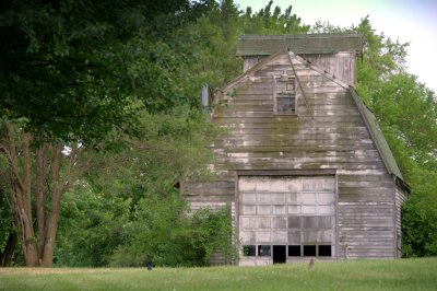 Old white barn