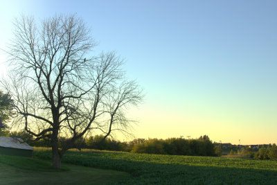 Hawks view at sunset