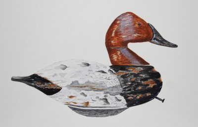 Canvasback Drake Maker Lee & Lem Dudley Circa 1895