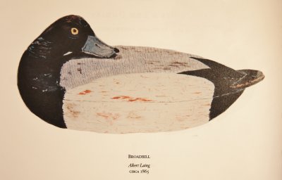 Broadbill Albert Laing Stratford, Connecticut (1811-1886)