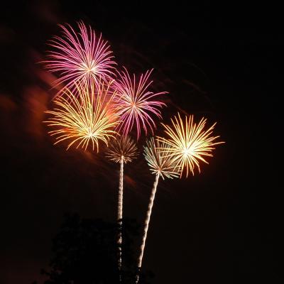 Fireworks - Tom Brown Park