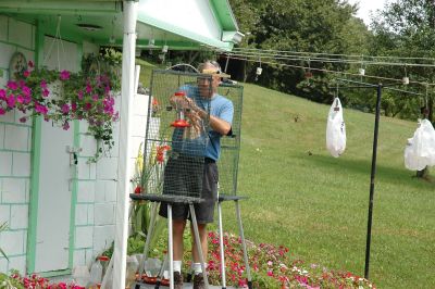 I am removing a bird from the trap