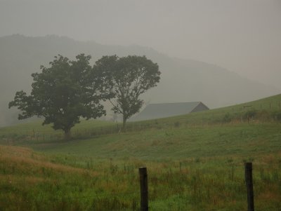 Foggy morning on Cherry Fork Road