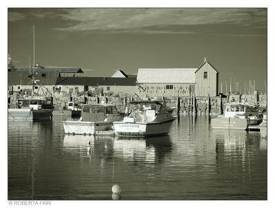 Motif #1