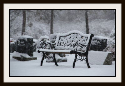 The Cold Bench