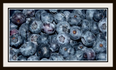 Love Blueberries