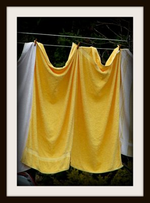 The Yellow Towels