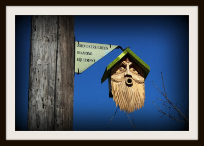The Bearded Birdhouse