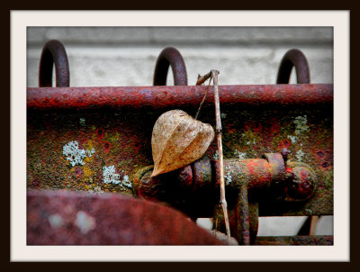 The Colors Of Rust