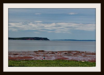 The Fundy Shore