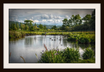 The Farm Pond