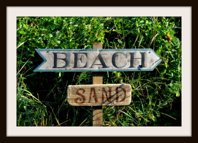 The Beach The Sand