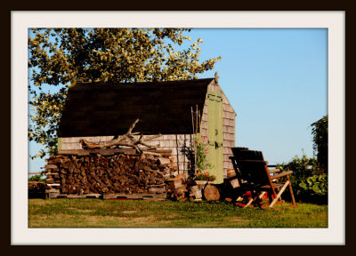 A Backyard Shed