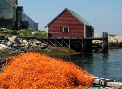 Orange Nets