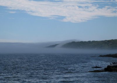 Rolling Harbor Fog